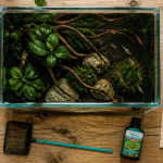 aquarium petit poisson vue dessus nano 13 litres