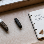 crotte de gecko et souris sur rebord de fenêtre