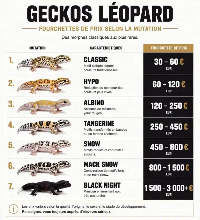 Infographie des prix des geckos léopard par mutation