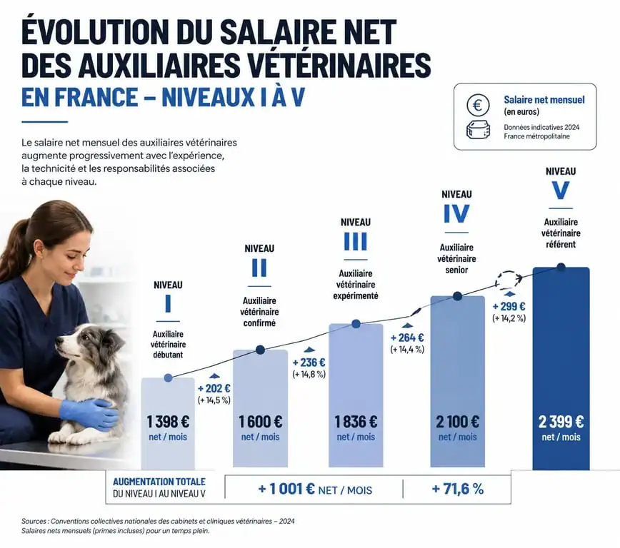 Infographie des salaires nets des auxiliaires vétérinaires par échelon en France
