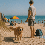 plage autorisée aux chiens chien maître plage été
