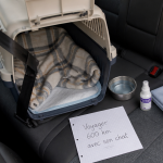 faire 600 km avec un chat en voiture