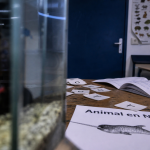 animal en n : 24 noms d’animaux rares, aquariums et biodiversité