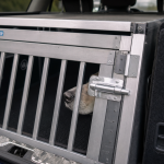 Cage alu transport chien dans le coffre de la voiture, sécurité