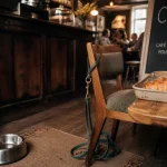 Bar à chien Rennes en café dog-friendly, gamelle et laisse sur table