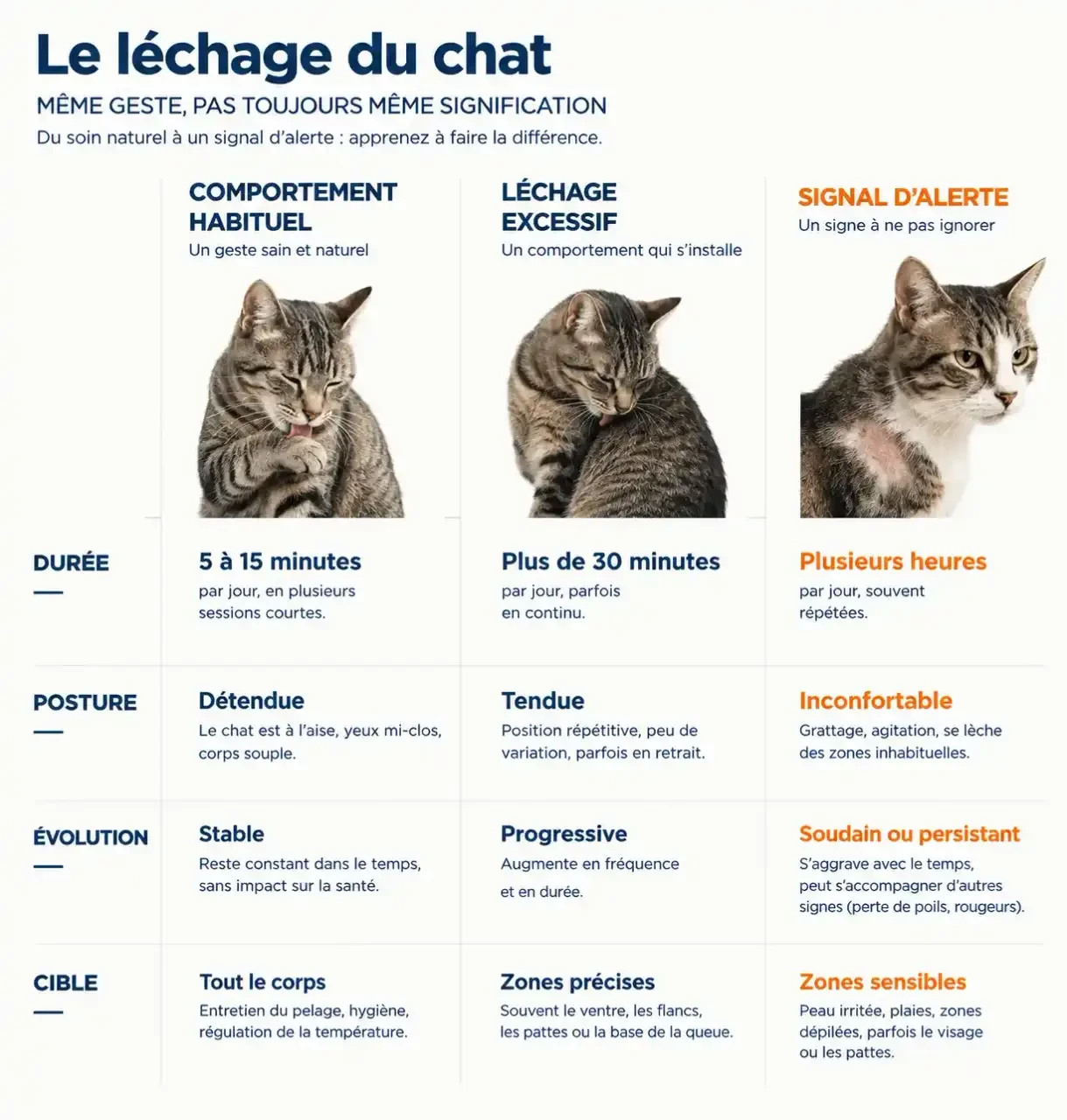 Pourquoi mon chat me lèche : comparaison entre léchage normal, excessif et signes d'alerte